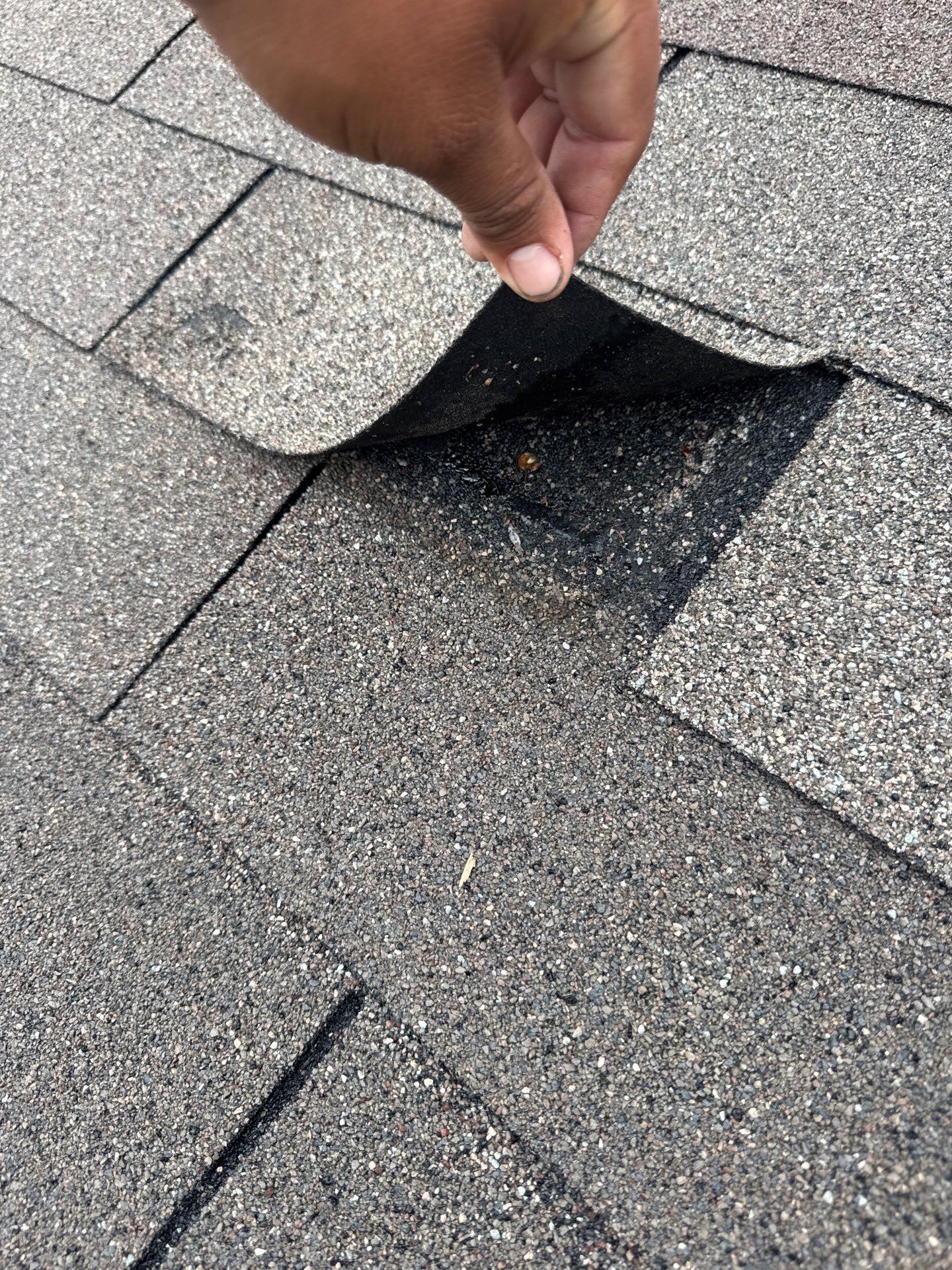 Hand lifting a shingle to expose a broken seal from wind damage